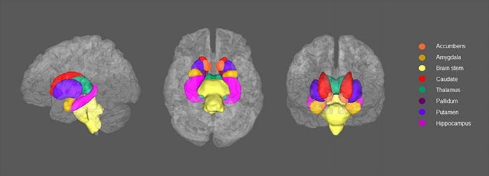 Image Credit: Scientific Reports