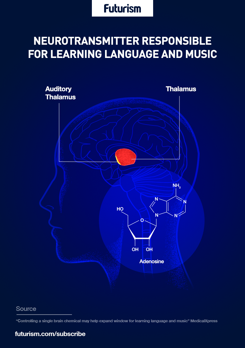 *3* We Now Know What Makes Children Learn So Fast