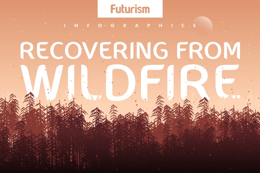 Are We Making Forest Fires Stronger?