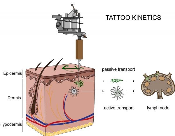 tattoos nanoparticles lymph nodes toxic chemicles