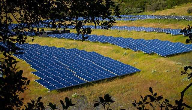 U.K.'s largest solar farm