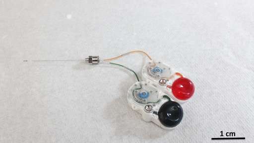 This miniature system could greatly improve the treatment of brain disorders. Image Credit: Canan Dagdeviren/Massachusetts Institute of Technology