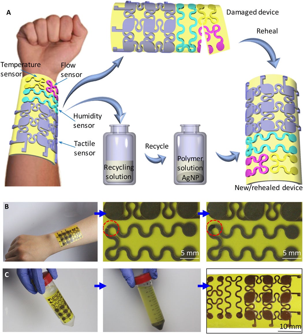 A diagram of the electronic skin developed at UC- Boulder, showing how temperature and flow sensors provide sensation, and how two solutions can heal the skin if damaged.