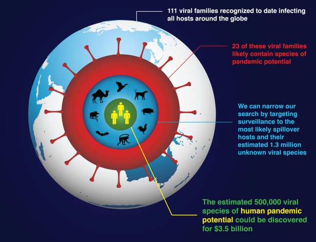 The number of viruses known to infect people is less than 0.1 percent of the total that could potentially do so. Image Credit: D. CARROLL ET AL/SCIENCE 2018