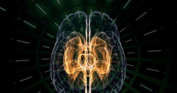 If we ever want artificial general intelligence, governments need to invest in it