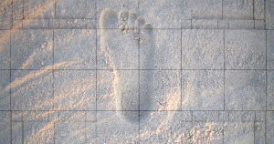 Researchers have created an AI that can identify a person with 92 percent accuracy after recording just seven consecutive footsteps.