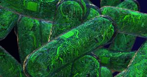 When scientists finally build quantum computers, they'll make quick work of current cybersecurity. But using biological systems for security may stump them.