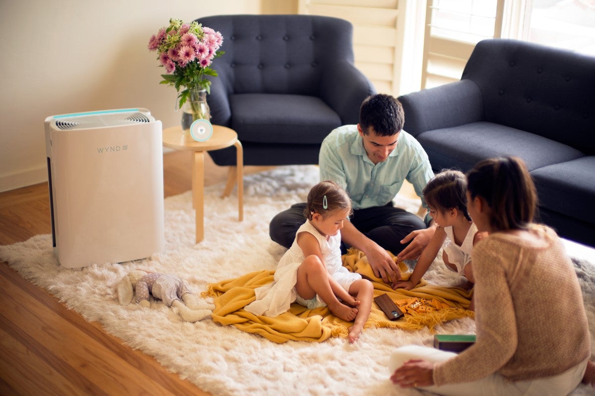 Wynd Air Purification System