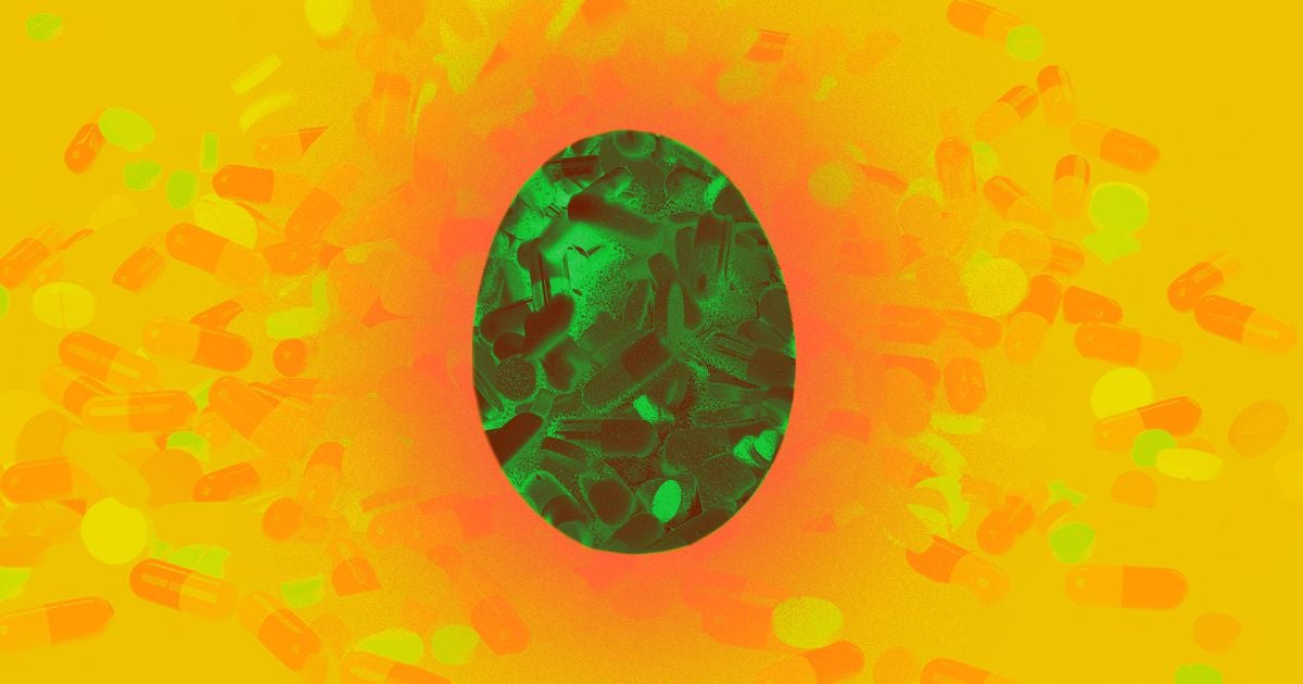 Genetically modified chickens lay eggs containing anti-cancer drug