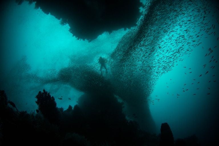 Scientists: warming oceans will lead to "catastrophic" future