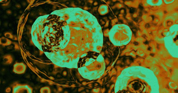 Anti-aging drug that kills old cells passes first human trial