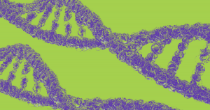 Cornell scientists developed a new type of gene-hacking technology that acts like a DNA "shredder." It could be used to cure diseases like herpes.