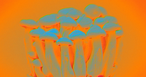 A UK college has launched the Imperial Centre for Psychedelic Research — the world's first formal center for research into psychedelics.