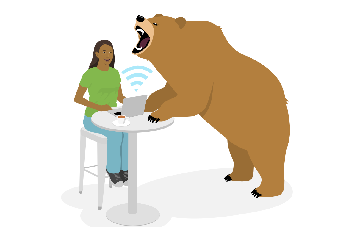 Tunnelbear VPN