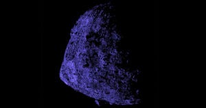 NASA's OSIRIS-REx spacecraft just zipped really close to tiny asteroid Bennu to snap an incredibly detailed image.