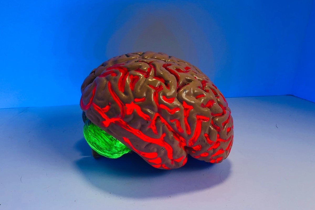 Brain Training Bundles