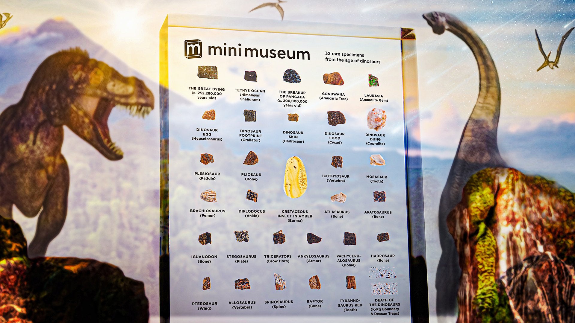 dinosaur fossils