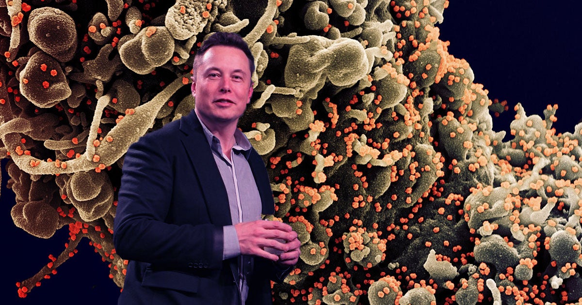 Elon Musk Collaborated With Mit To Track Covid Infections At Spacex