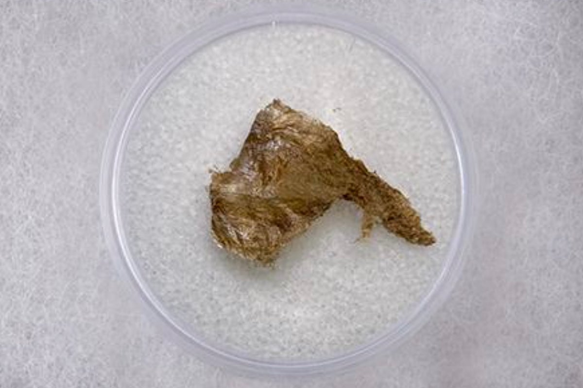 mammoth meat