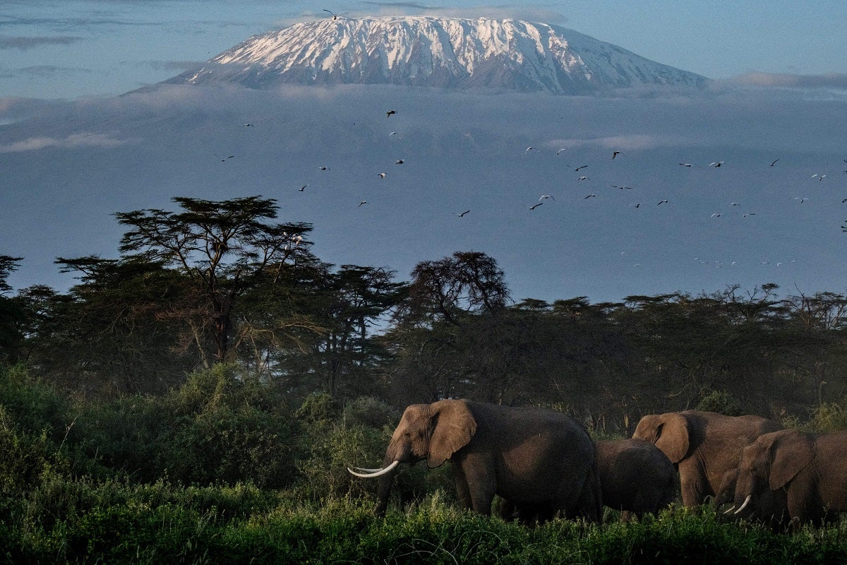 Africa's Tallest Mountain Gets High Speed Internet So Tourists Can Post Selfies