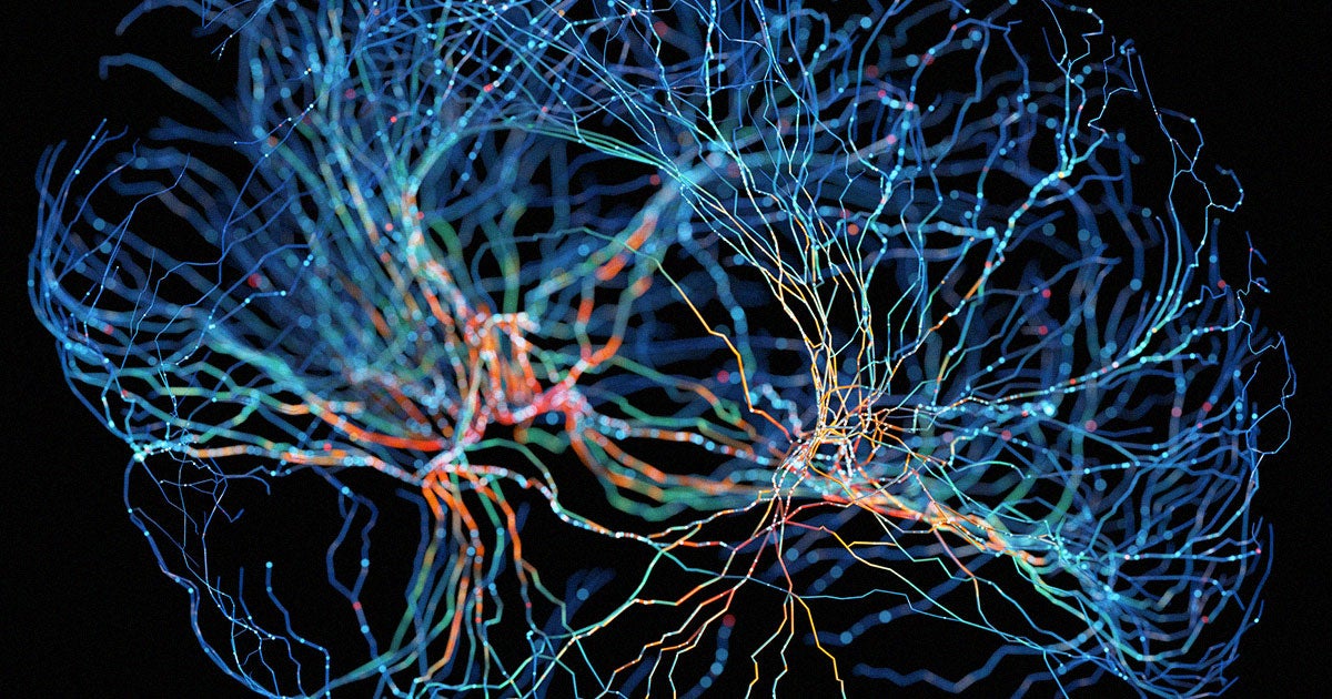 Une intelligence artificielle branchée sur le cerveau