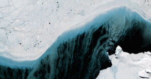 A grim NOAA report reveals that Antarctic sea ice levels have reached a record wintertime low — and a drastic year-over-year decrease.